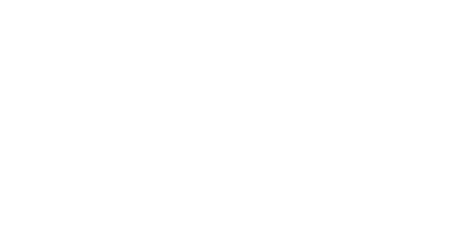 SoftAid Logo